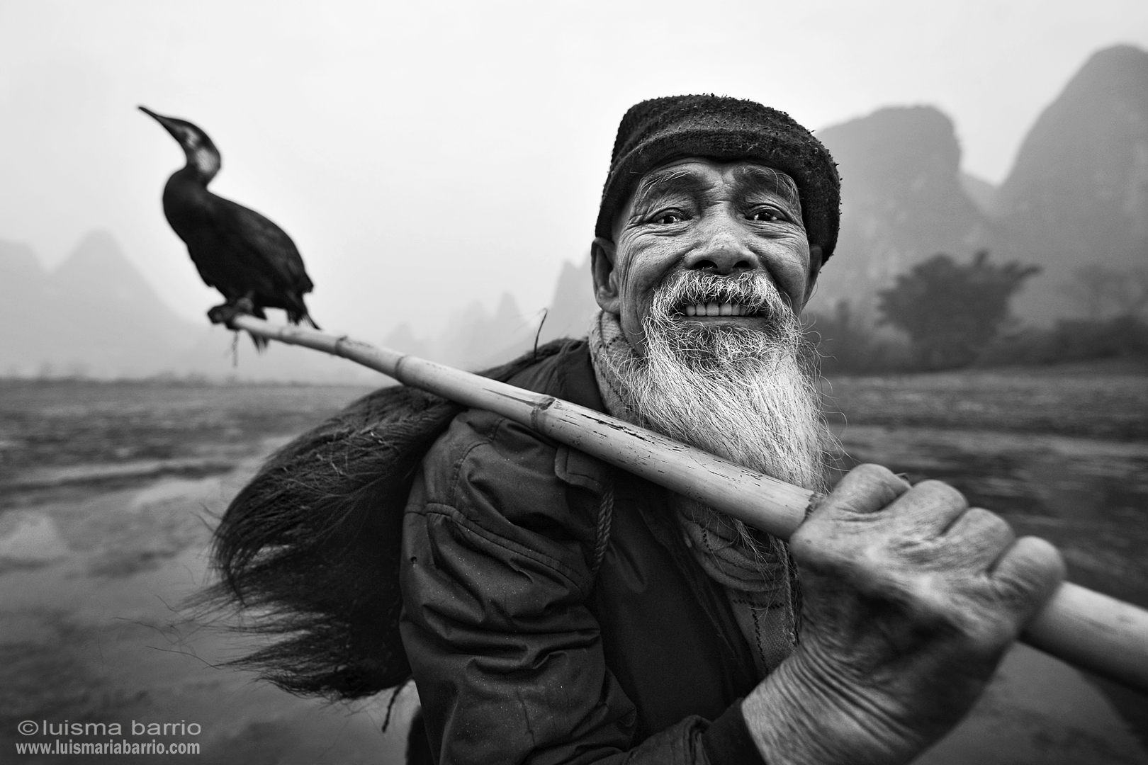 retrato pescador cormoran rio li china 